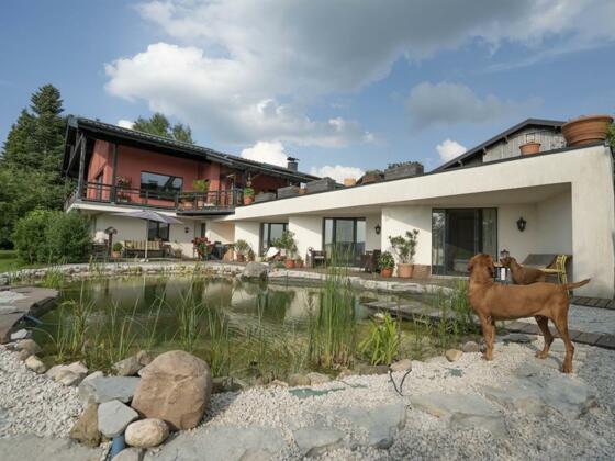 Hausansicht mit Schwimmteich