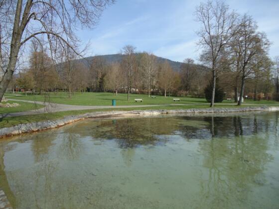 Blick vom See auf die Liegewiese