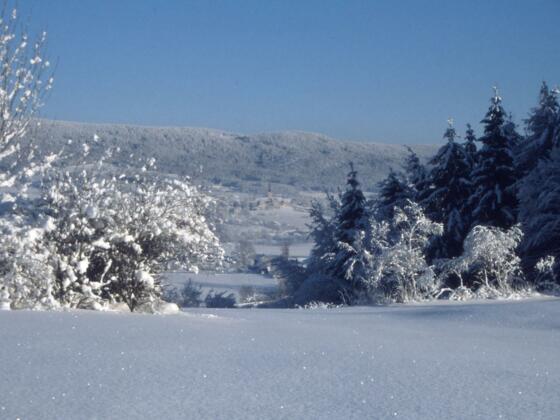Winter in Ulrichsberg