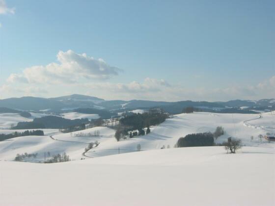 Winterlandschaft