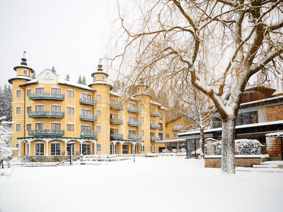 Hotel Guglwald ****s Winter