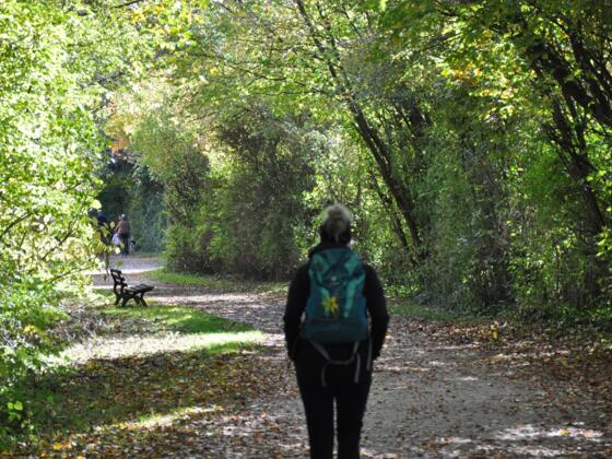 Wandern an der Amper in Fürstenfeldbruck