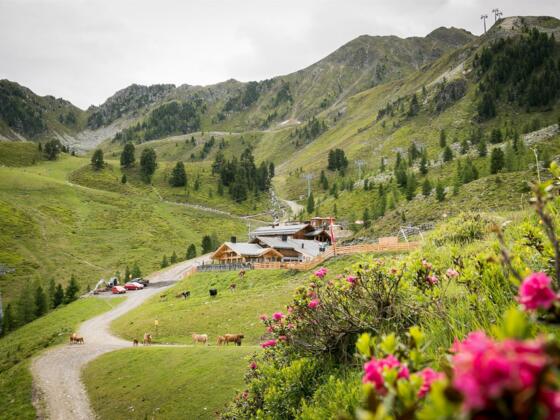 Balbach Alm