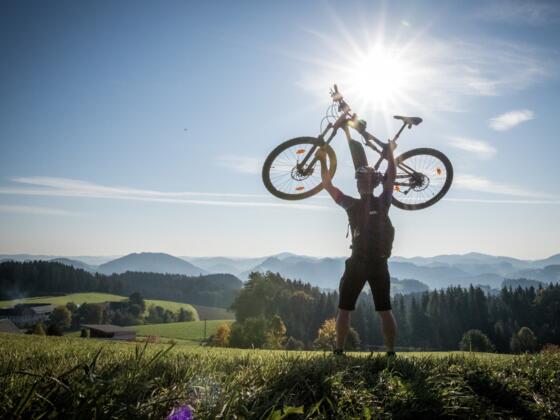 Die Tour de Alm