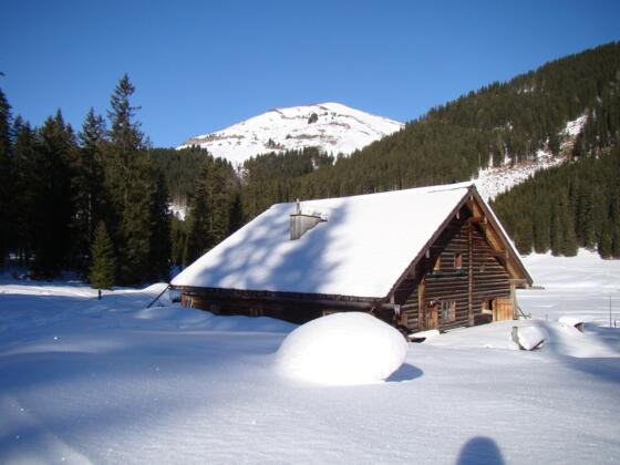 Alpin Hütte Schnee
