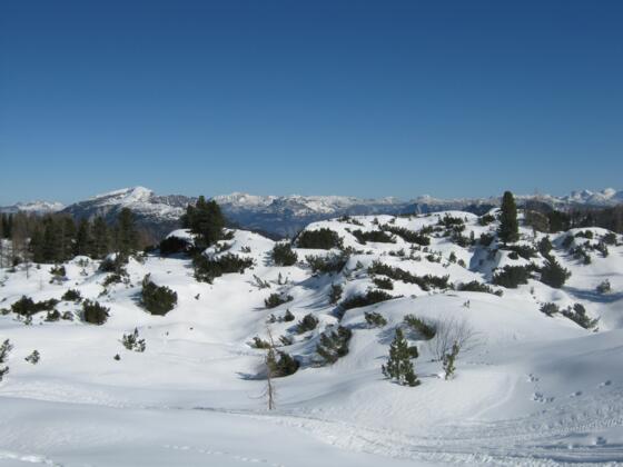 Dachstein Krippenstein