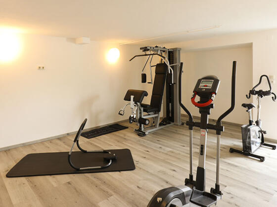 Blick vom See zum Hotel Garni Dorferwirt