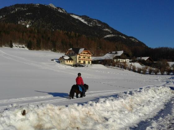 Haus Hödlmoser Ried