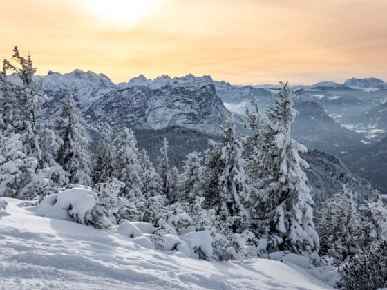 Blick nach Westen in Richtung Reiteralpe