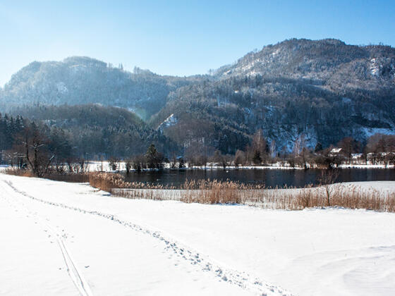 Naturschutzgebiet Egelsee in Scharfling im Winter