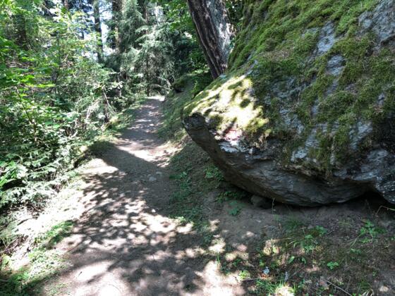 #4 Cache (Stuibenfallrunde)