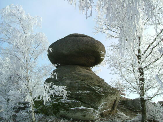 Winter_Raureif 041.jpg