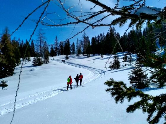Winterabenteuer Schneewandern