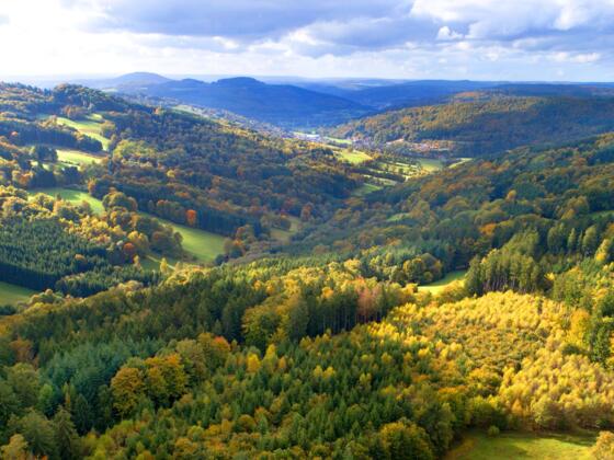 Die Schwarzen Berge Rhön