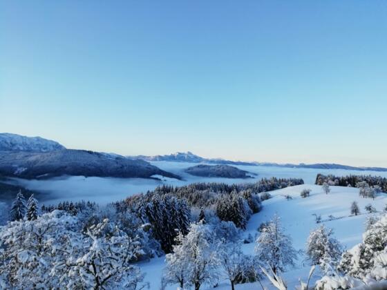 Winterlandschaft