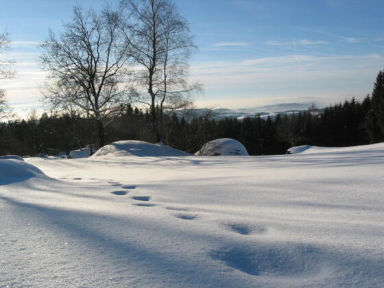 Winterliche Naturparklandschaft