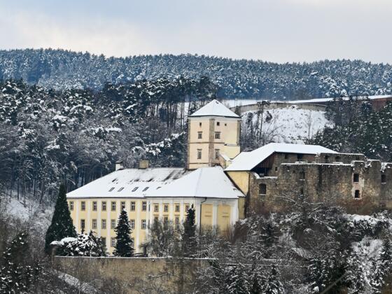 Schloss Riedegg im Winter
