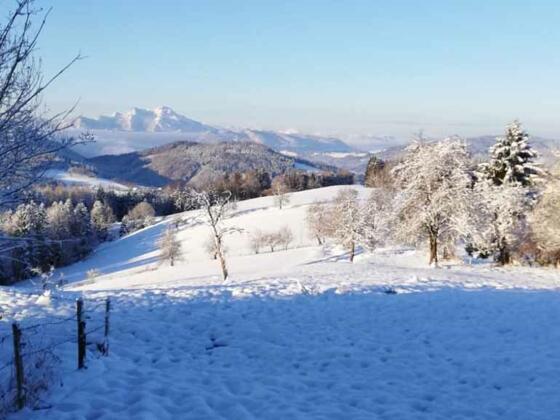 Winterbild Foto Privat Familie Foltan tour