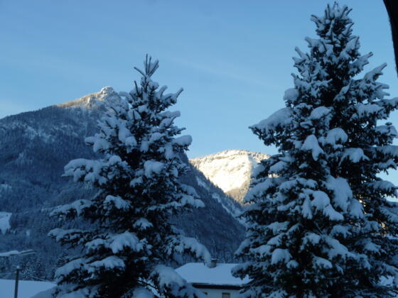 Aussicht mit Sparber und Bleckwand