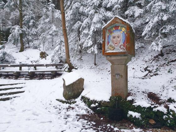 Augenbründl zwischen Pierbach und St. Thomas am Blasenstein im Winter