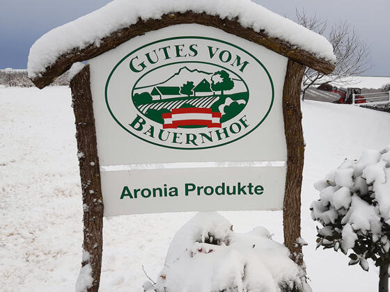 Pregarten_Nordland Aronia (8)