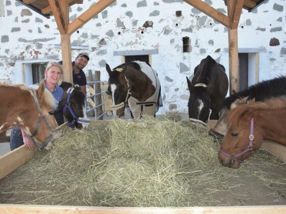 unsere Pferde im Stall