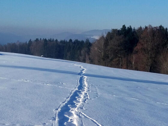 Winter in Waldkirchen