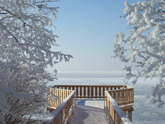 Naturbeobachtungsstation Chieming im Winter