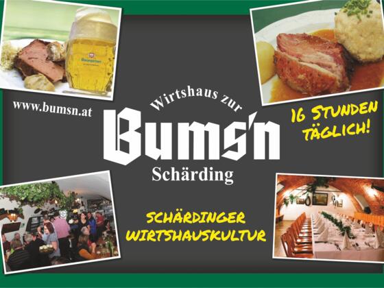 Logo_Bumsn_halbe_Seite (002)