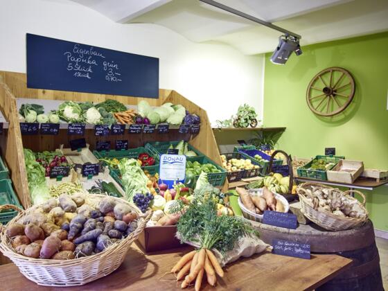 Gemüsehof Voggeneder_Naarn_151006_706©WGD Donau Oberösterreich Tourismus GmbH-Peter Podpera