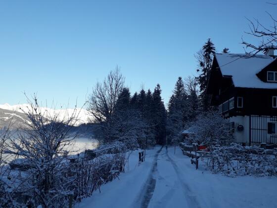 Ferienwohnung Haus Bergkristall in Bad Goisern