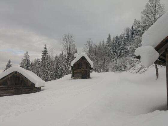 Rodelbahn in Bad Goisern am Hallstättersee im Bereich Trockentannalm