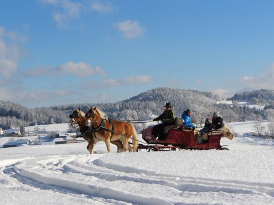 Pferdeschlittenfahrt_GeorgsKutscherHof