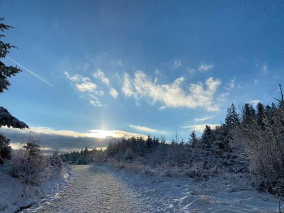 Damberg im Winter