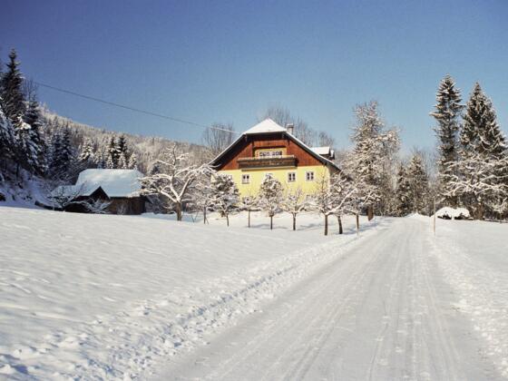 Haindlgut Hausansicht Winter