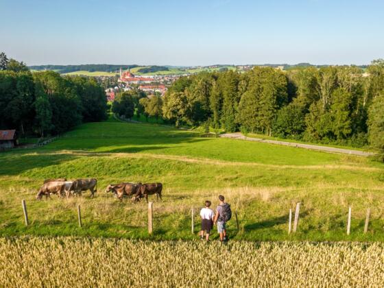 Aussichtspunkt Konohof bei Ottobeuren