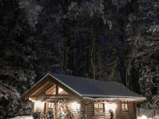 Hütte am Wald Winternacht Aufnahme