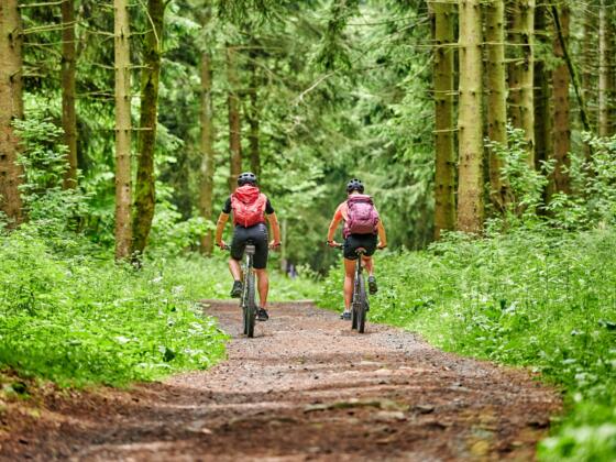 Mit dem Bike durch die Rhön