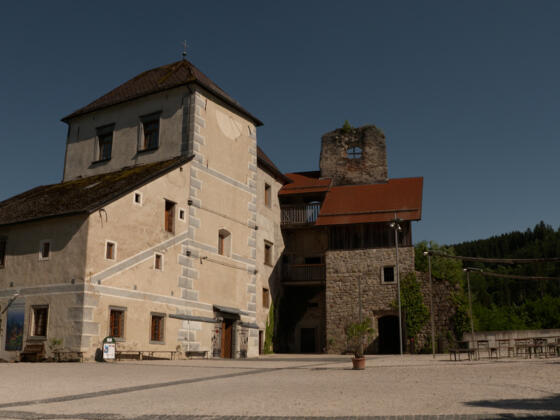 Ruine & Burgenmuseum Reichenstein