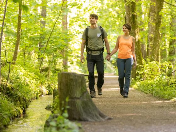 Wandern im Bannwald Ottobeuren