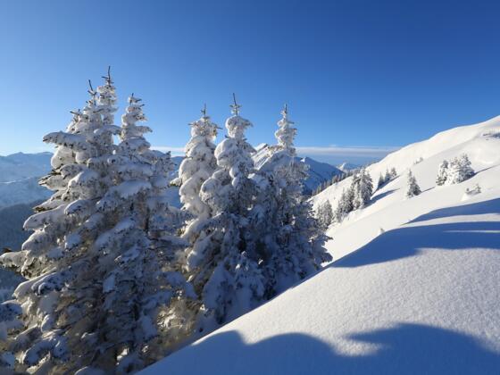 Winterlandschaft