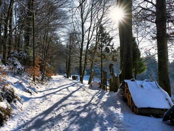 20230124 Silberberg Winter Sonne Barbara Kapelle-2.jpg