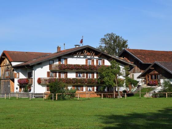 Bauernhof Kotz im Sommer