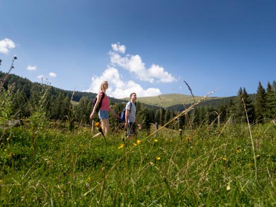 Wandern