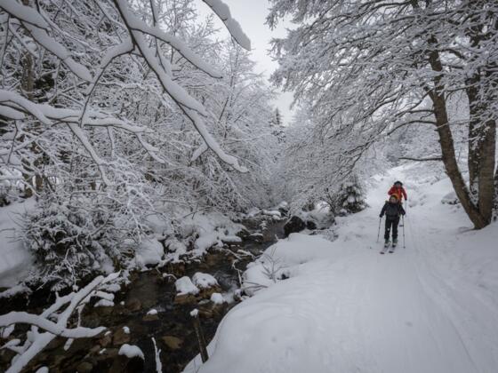 Am Bach entlang: Der erste Abschnitt vom Lager Walchen zur Lizumer Hütte
