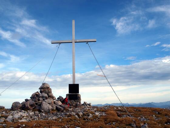 Raucheck 2431m