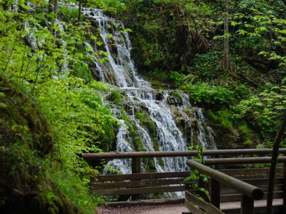 Wasserfall zu Beginn des Weges