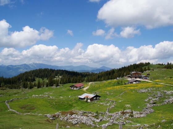 Blick auf die Eggenalm mit dem Straubinger Haus