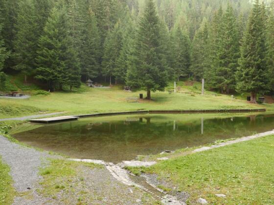 Der Stafeliweiher