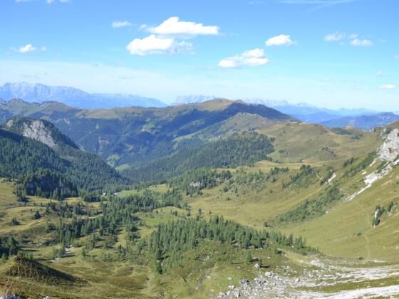 Die Filzmoosalm, in der Bildmitte das Gründegg